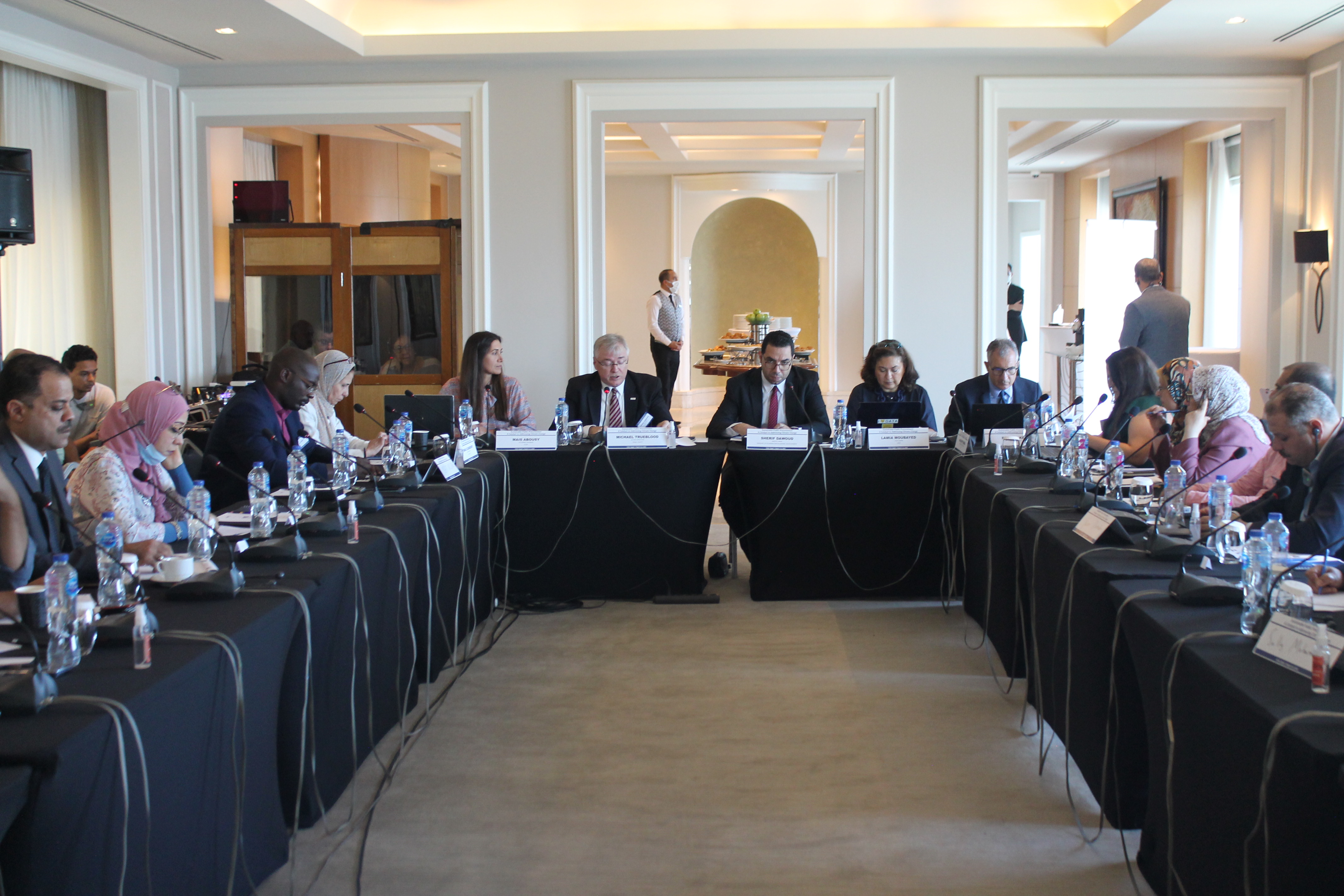 Egypt SPP roundtable