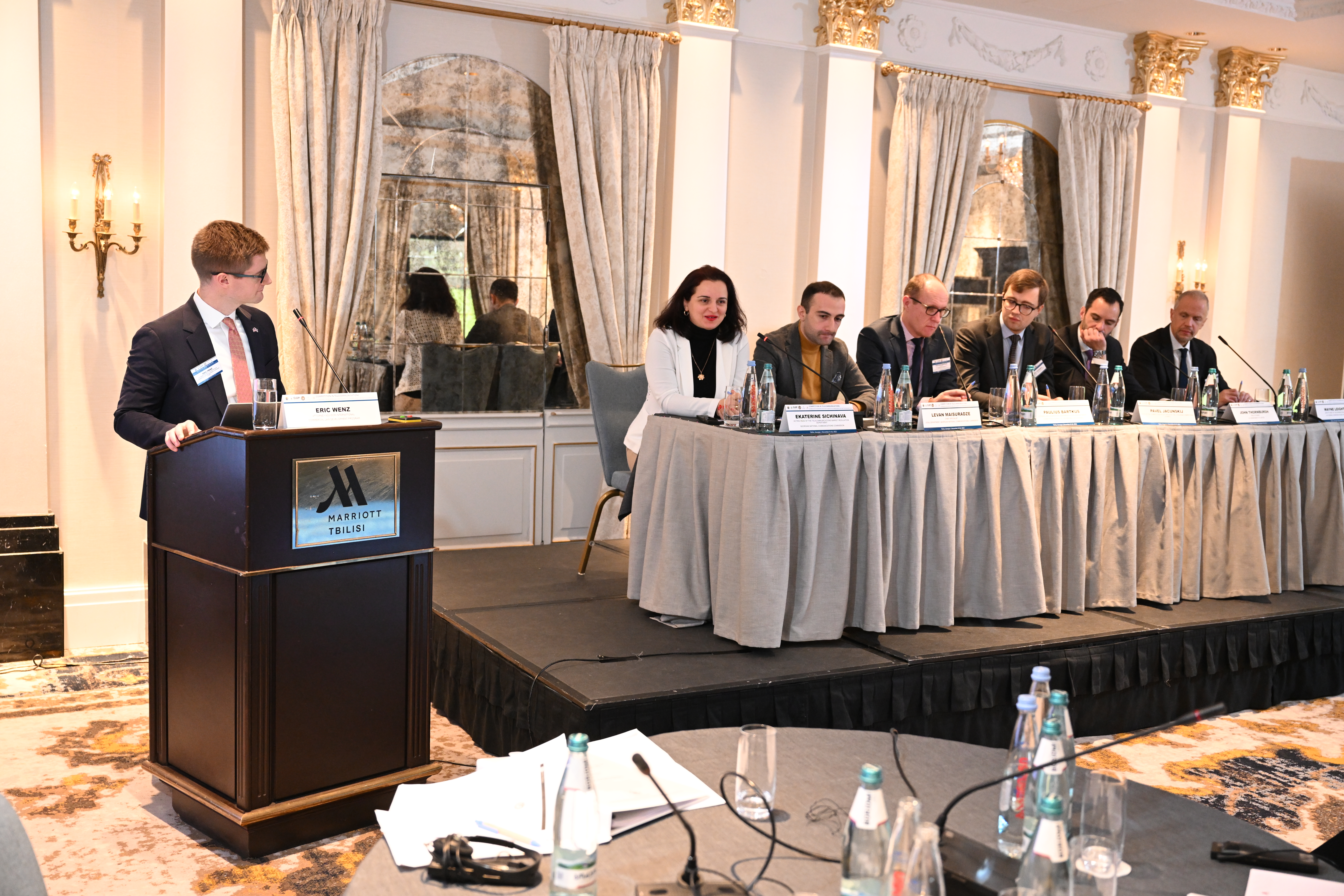 panel georgia telecom competition