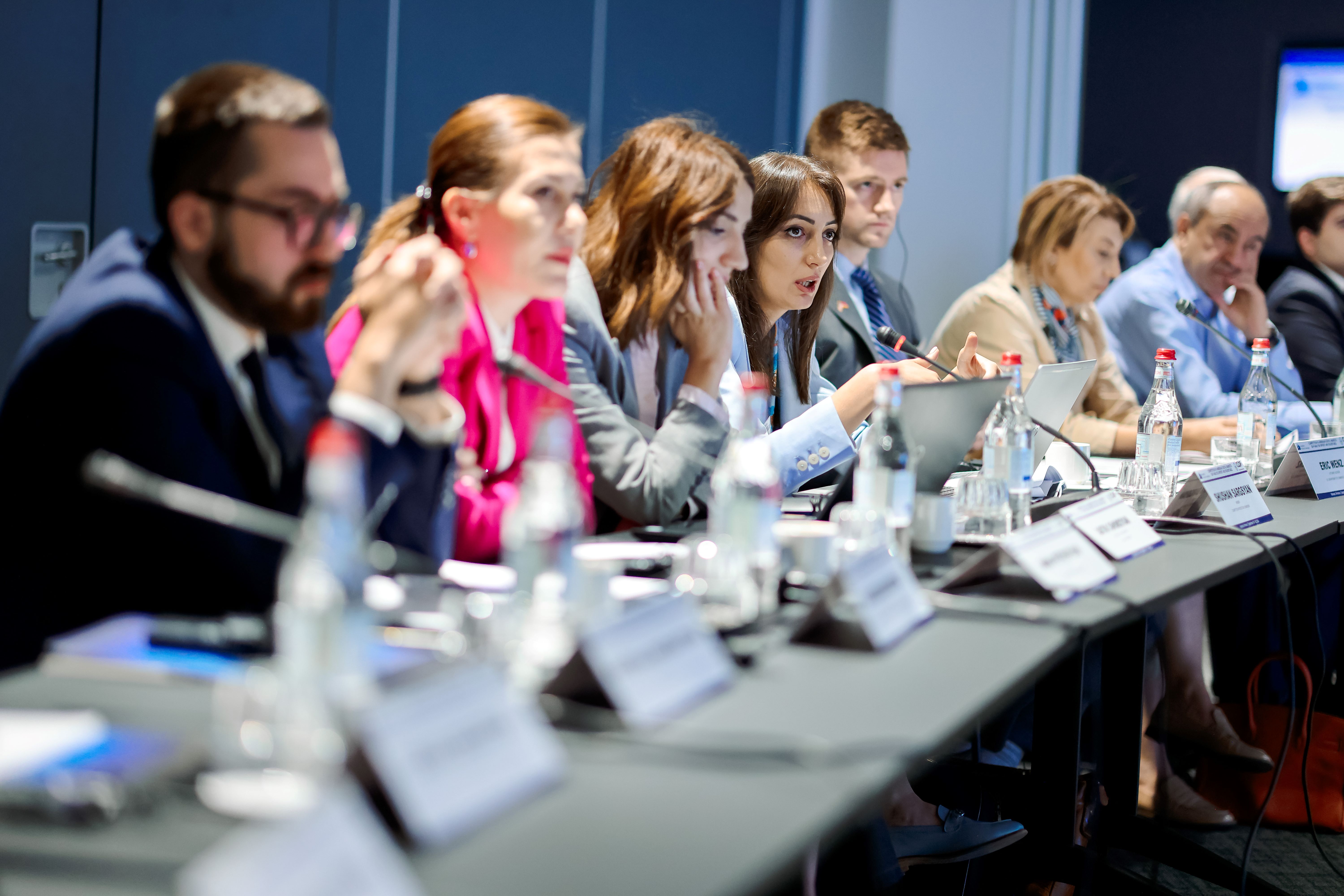 Competition in Armenian Digital Markets