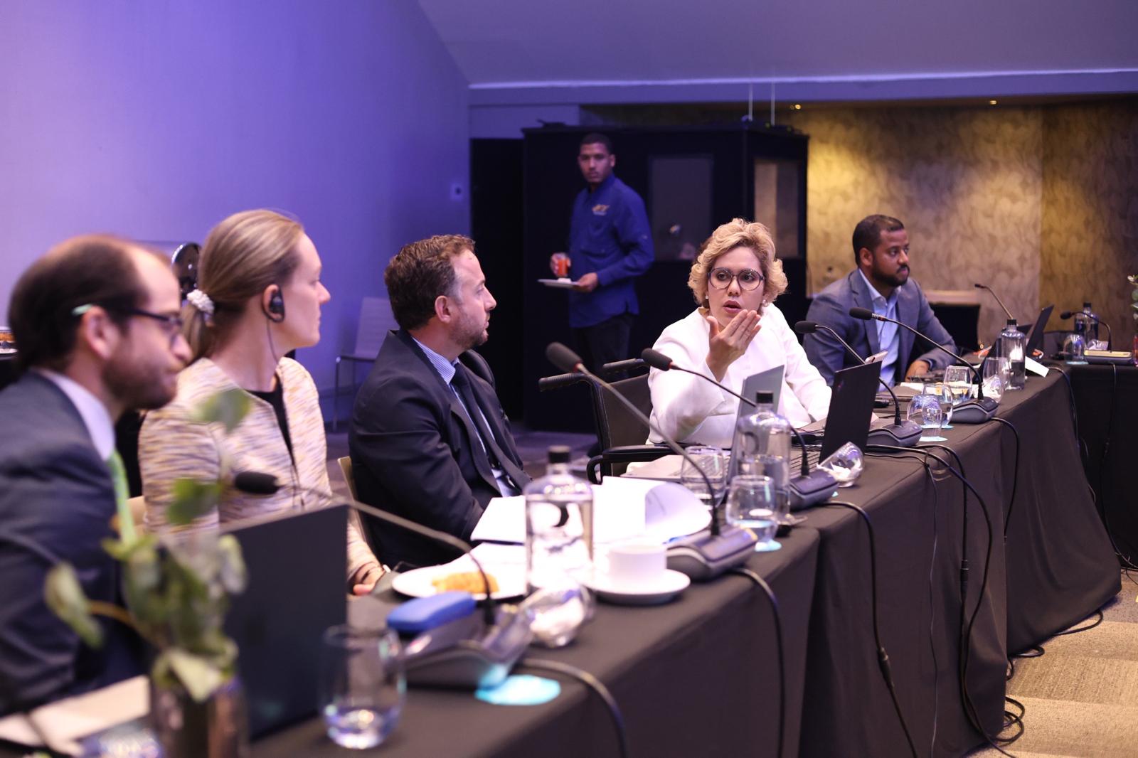 President of Procompetencia speaking