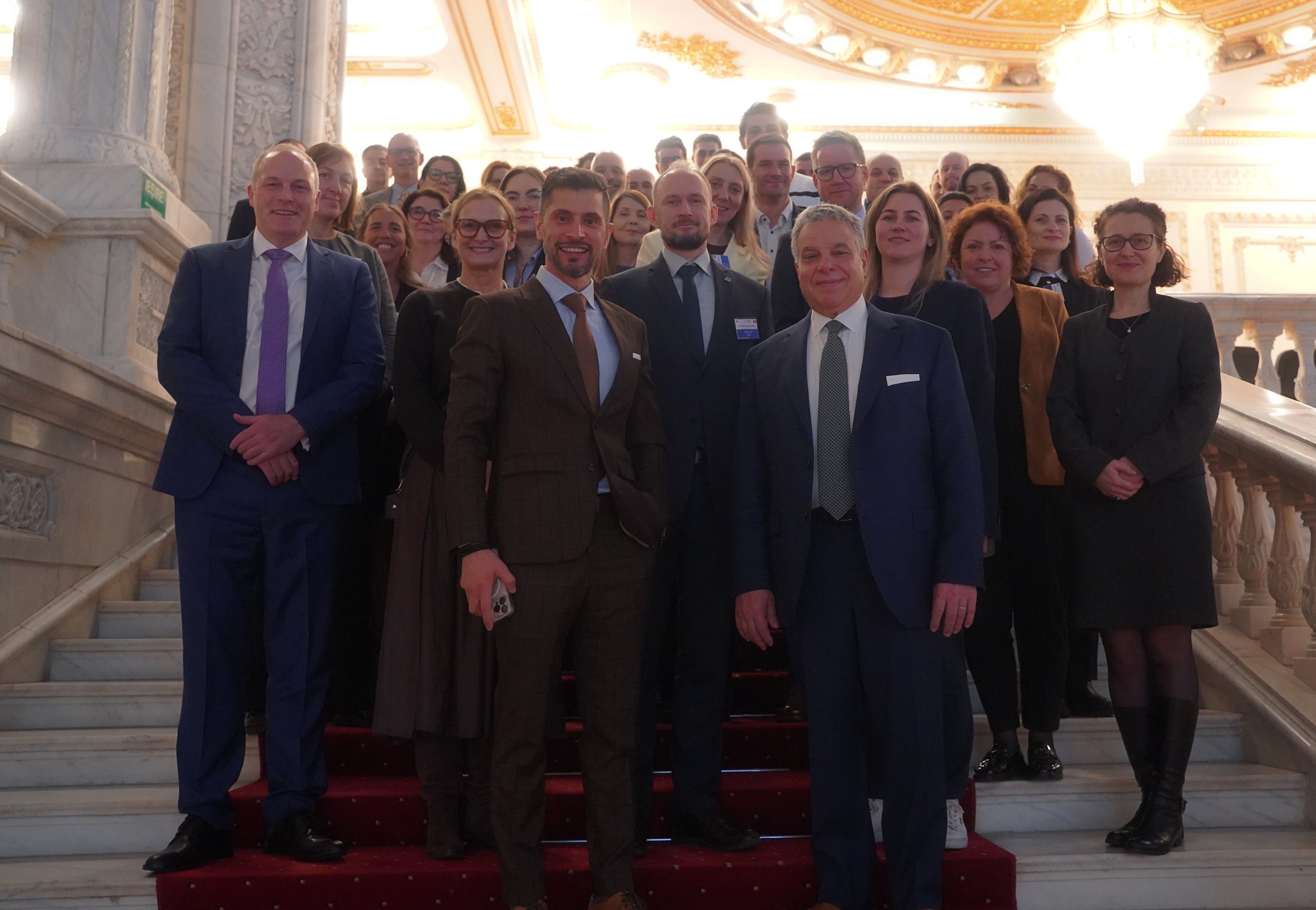 Working Group at the Romanian Parliament