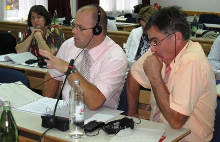 Workshop participants discuss country-specific case studies.