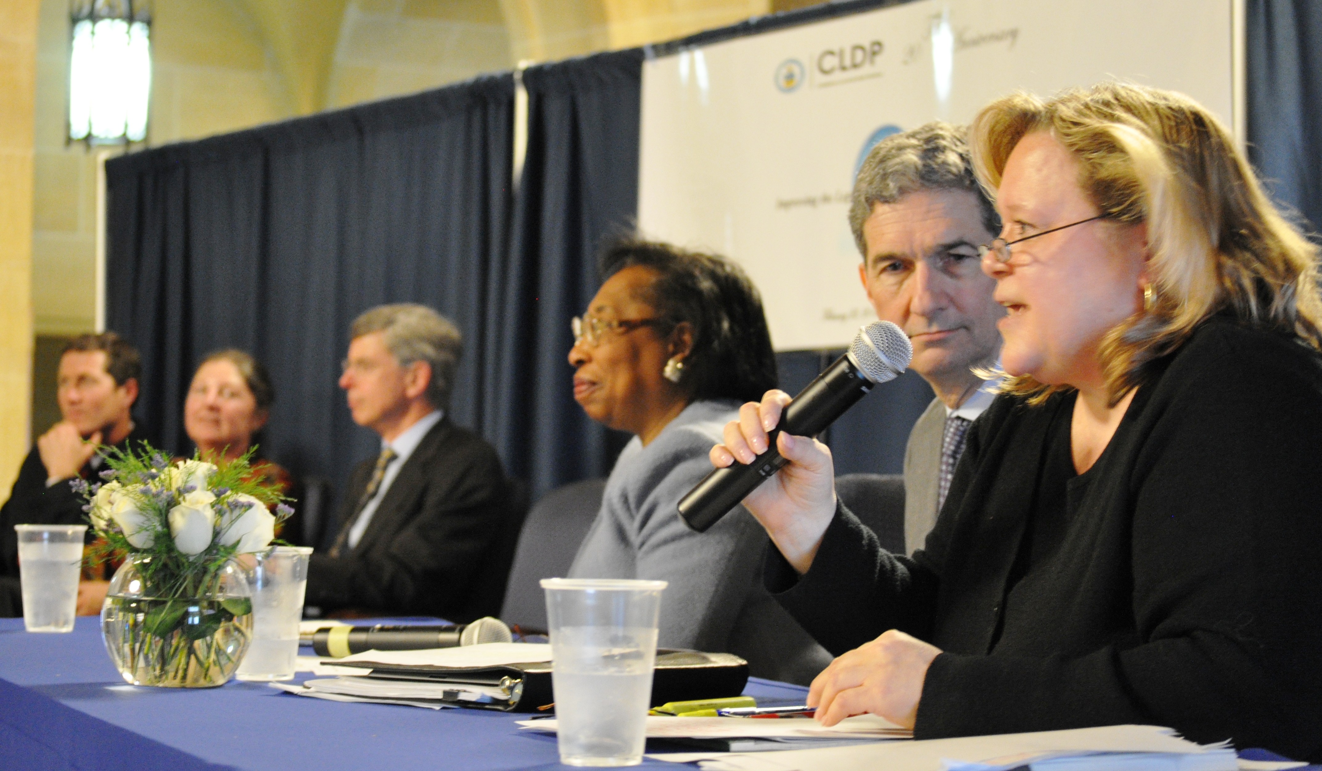 Judge Donald from the US Court of Appeals for the 6th Circuit, and Judge Ridgway from the US Court of International Trade, reflected on their experiences with CLDP.