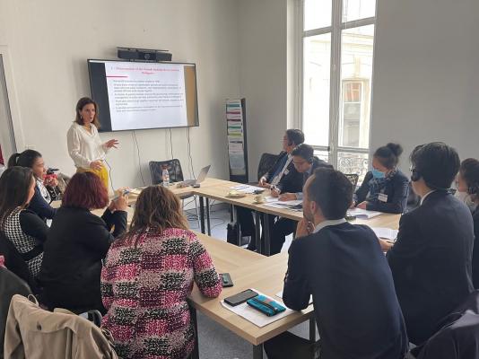 Carrousel: Laotian delegates meet with counterparts at the OECD, private law firms, and PPP organizations in Paris, France