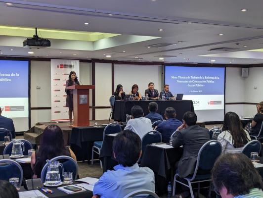 Ministry of Economics &amp; Finance provides opening remarks