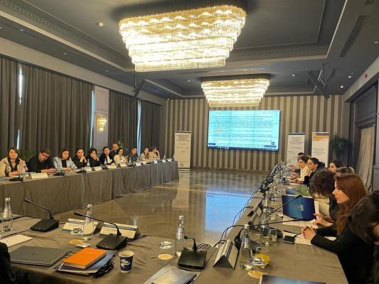 Participants at the Second Working Meeting on Georgian Insolvency Law