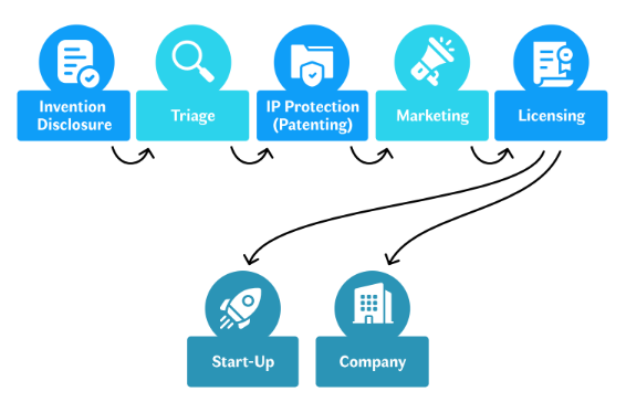An illustration of an invention lifecycle at a TTO.
