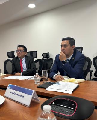 Representatives of the Secretariat for Tax Administration listen to CLDP expert explaining the PPP model