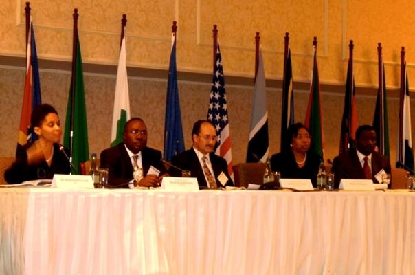 Participants from the Southern Africa region share their experience with the adjudication of IP cases.