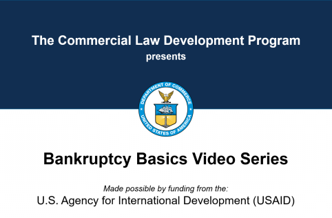 Presentation of the fundamentals of the U.S. insolvency code.